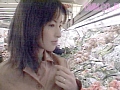 Gallery 0
