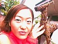 Gallery 0